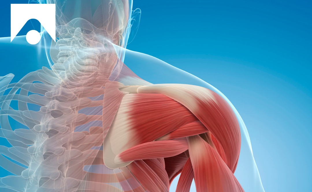 glp1 bioimpedenziometria